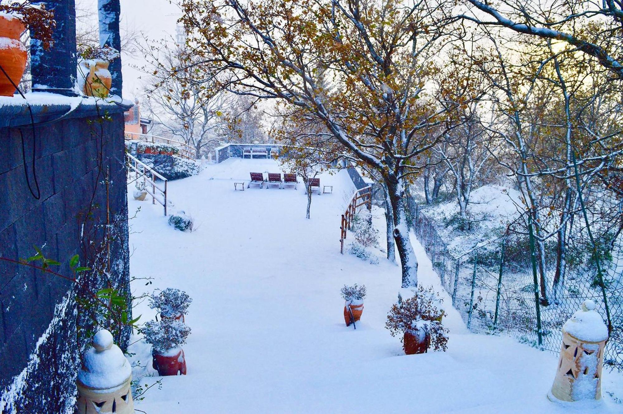 מסקלי Villa Del Gelso Chalet Nel Parco Delletna מראה חיצוני תמונה